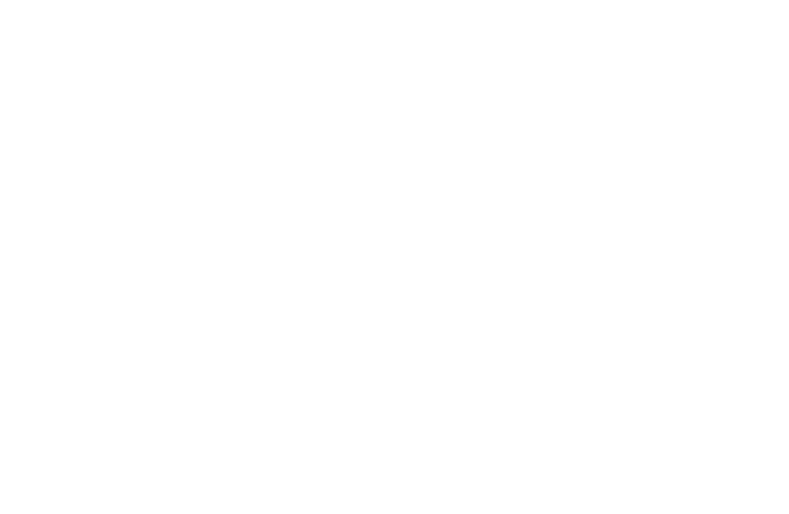 W and Partners — Luxury Real Estate Firm